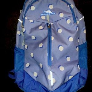 High Sierra Swerve Pro backpack